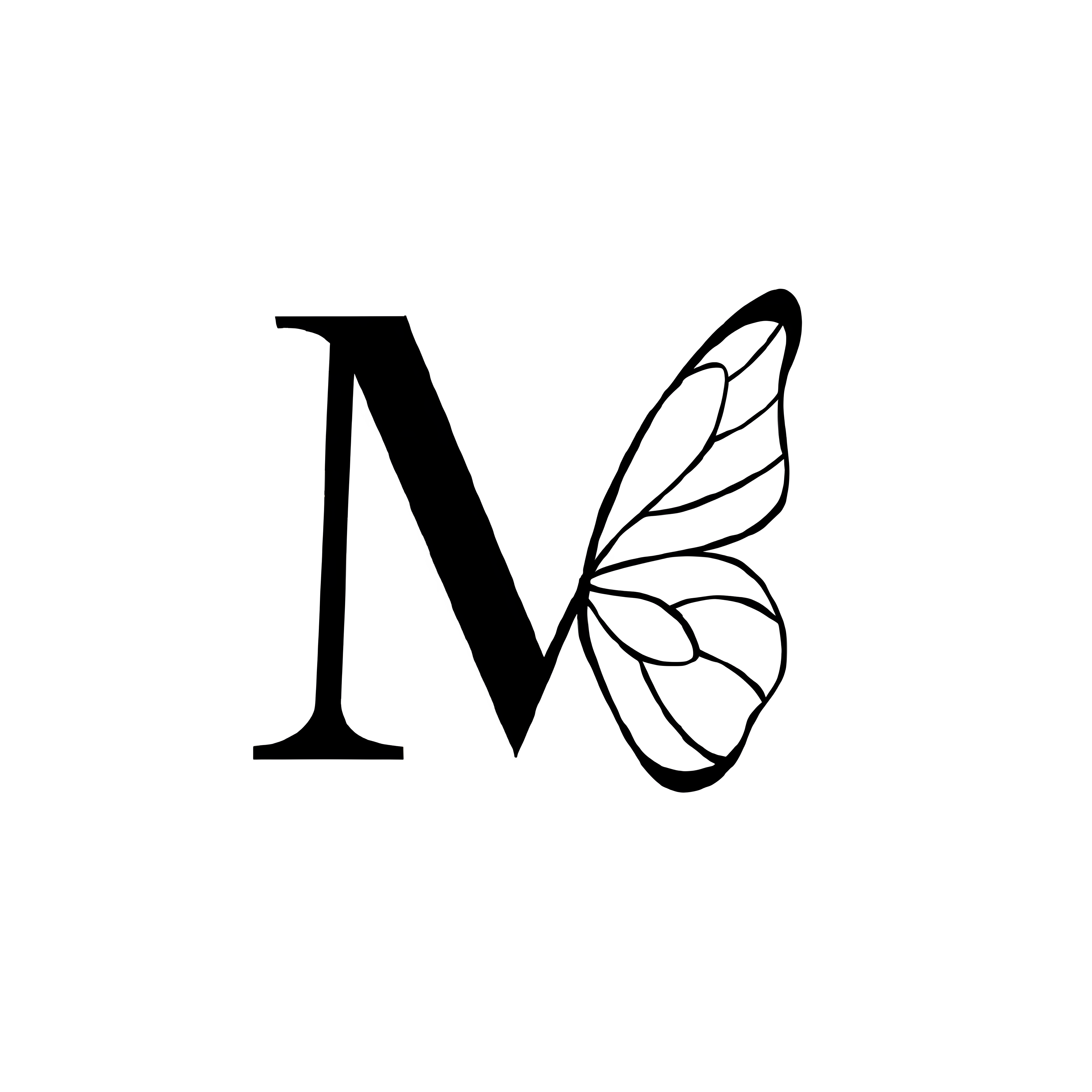 🦋MARIPOSA WEAR | il mio brand